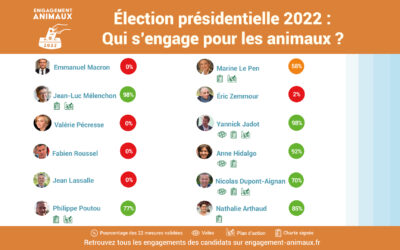 Présidentielle 2022 : Le bilan de l’engagement des candidats en faveur des animaux