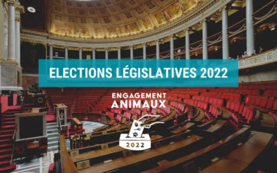 Législatives 2022 : Quels candidats et partis politiques s’engagent pour les animaux ?