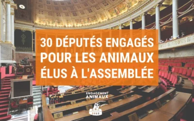 Législatives 2022 : 30 députés engagés pour les animaux élus à l’Assemblée nationale !