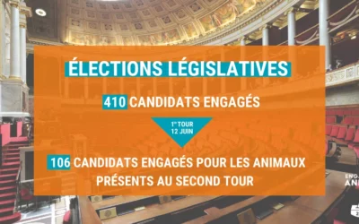 Législatives 2022 : Quels sont les candidats engagés pour les animaux au second tour ?
